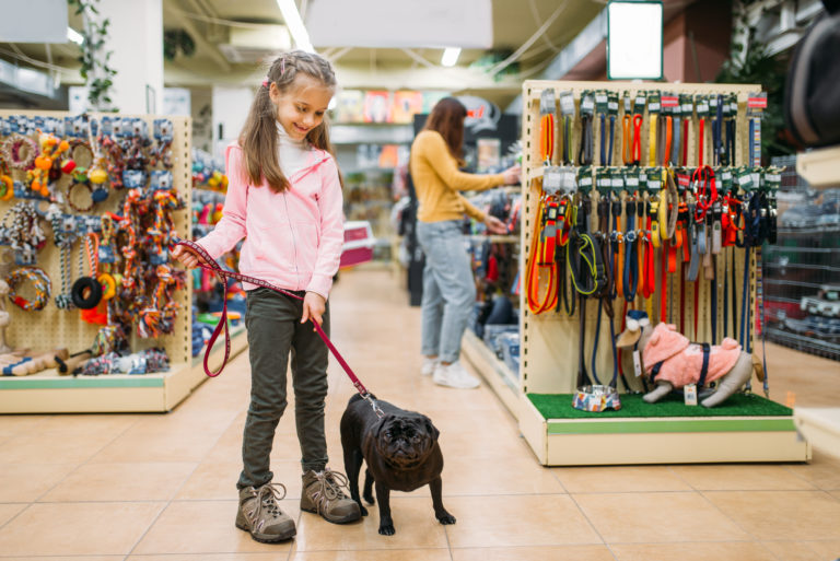 Little girl with puppy in pet shop, friendship. Kid with dog chooses accessories in petshop